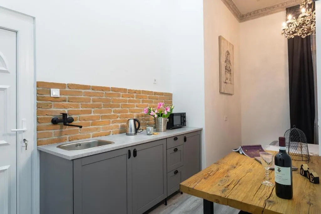 Regina Mini Apartment On Kiraly Street Budapest Magyarország